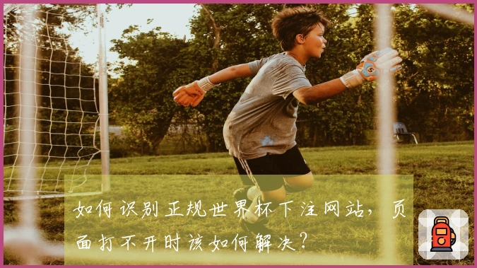 如何识别正规世界杯下注网站,页面打不开时该如何解决?