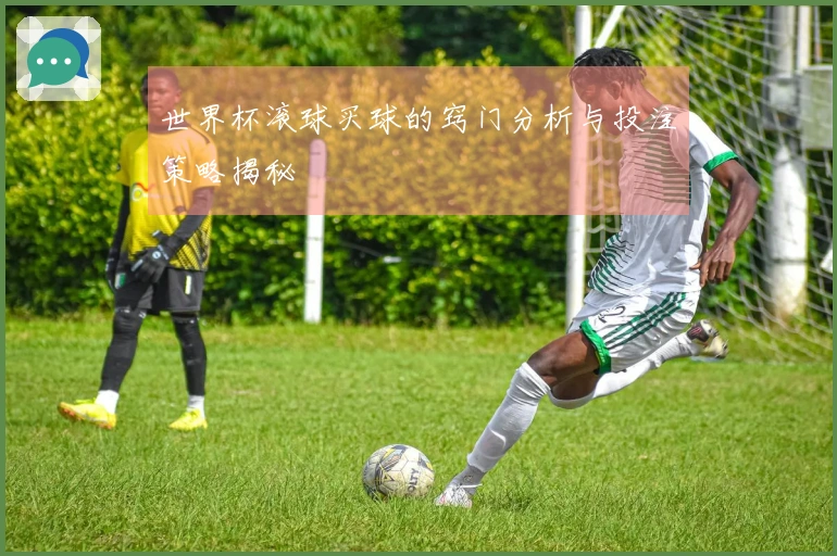 世界杯滚球买球的窍门分析与投注策略揭秘