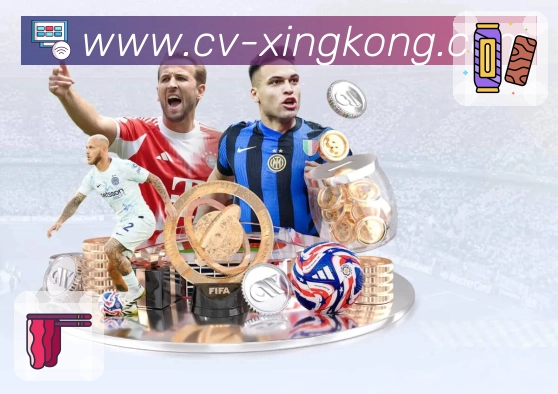 xingkong安全提示